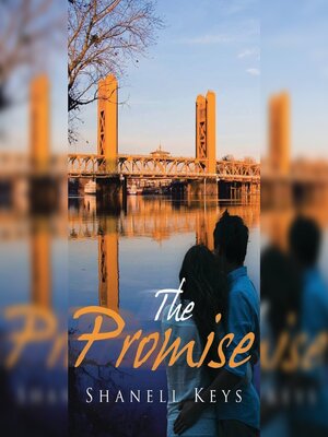 cover image of The Promise